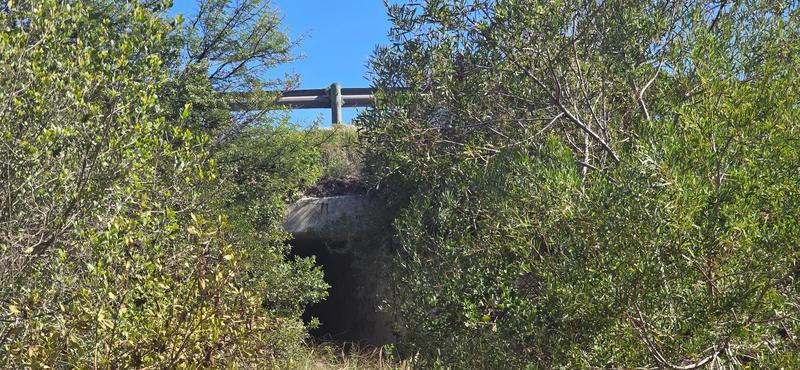 0 Bedroom Property for Sale in Groot Brakrivier Central Western Cape